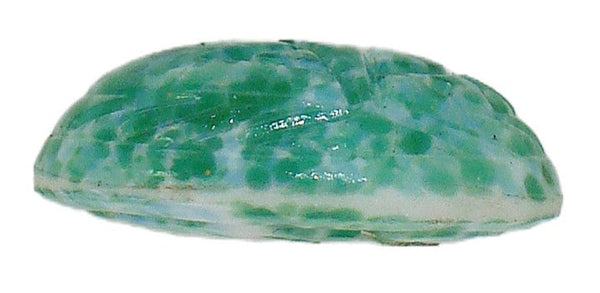 25x18mm (1685) Scarab Chinese Jade Glass Oval Cabochon