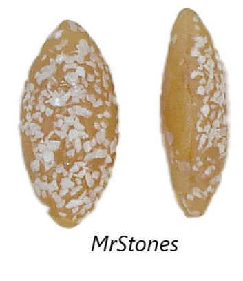 15x7mm (3146) Beige Moonstone White Textured Frit Marquise Navette Buff Top Doublet