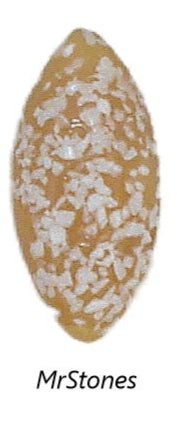 15x7mm (3146) Beige Moonstone White Textured Frit Marquise Navette Buff Top Doublet