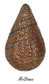 10x6mm (3101) Goldstone Pear Shape Buff Top Doublet 1pc/$0.35 - 4pk/$1.00