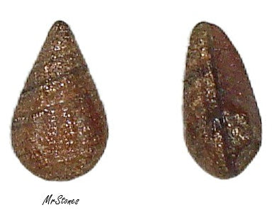 10x6mm (3101) Goldstone Pear Shape Buff Top Doublet 1pc/$0.35 - 4pk/$1.00