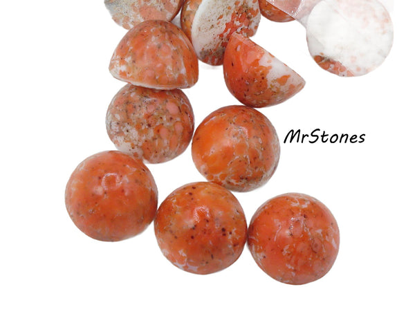 15mm (1684) Coral Matrix Round High Dome Cabochon  (14.7x9.3mm)