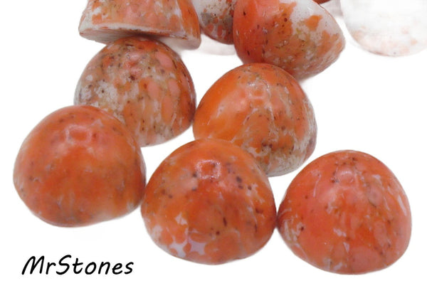 15mm (1684) Coral Matrix Round High Dome Cabochon  (14.7x9.3mm)