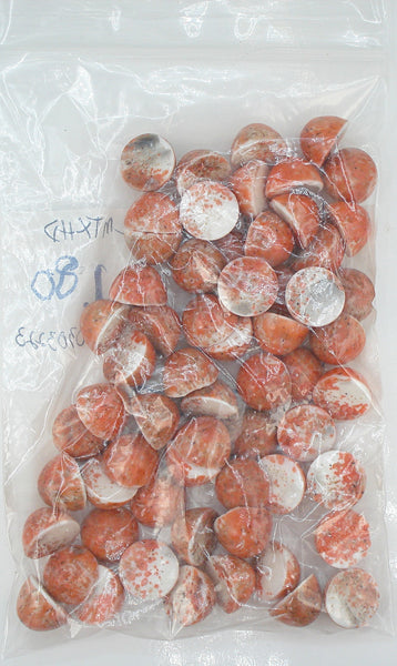 15mm (1684) Coral Matrix Round High Dome Cabochon  (14.7x9.3mm)