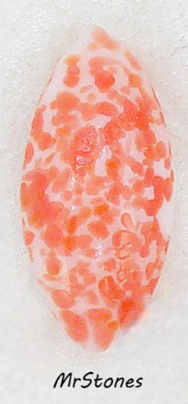 10x5mm (3146) Chalk White Red Orange Speckled Marquise Navette Buff Top Doublet