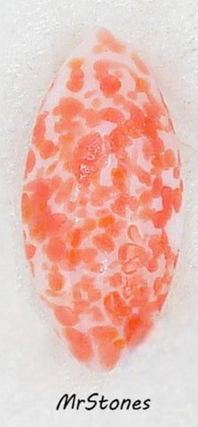 10x5mm (3146) Chalk White Red Orange Speckled Marquise Navette Buff Top Doublet
