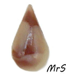 10x6mm (3101) Tan Ivory Brown Two Toned Pear Shape Buff Top Doublet