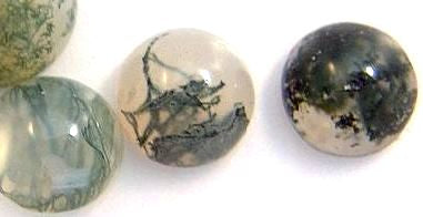 6mm Natural Moss Agate Round Cabochons