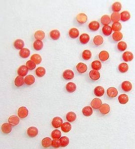 1.75mm Red Coral Round Cabochons
