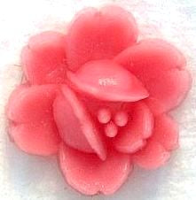 11mm Pinkish/Coral Color Flowers